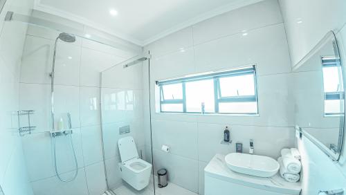 931dji_20250317161318_0254_d